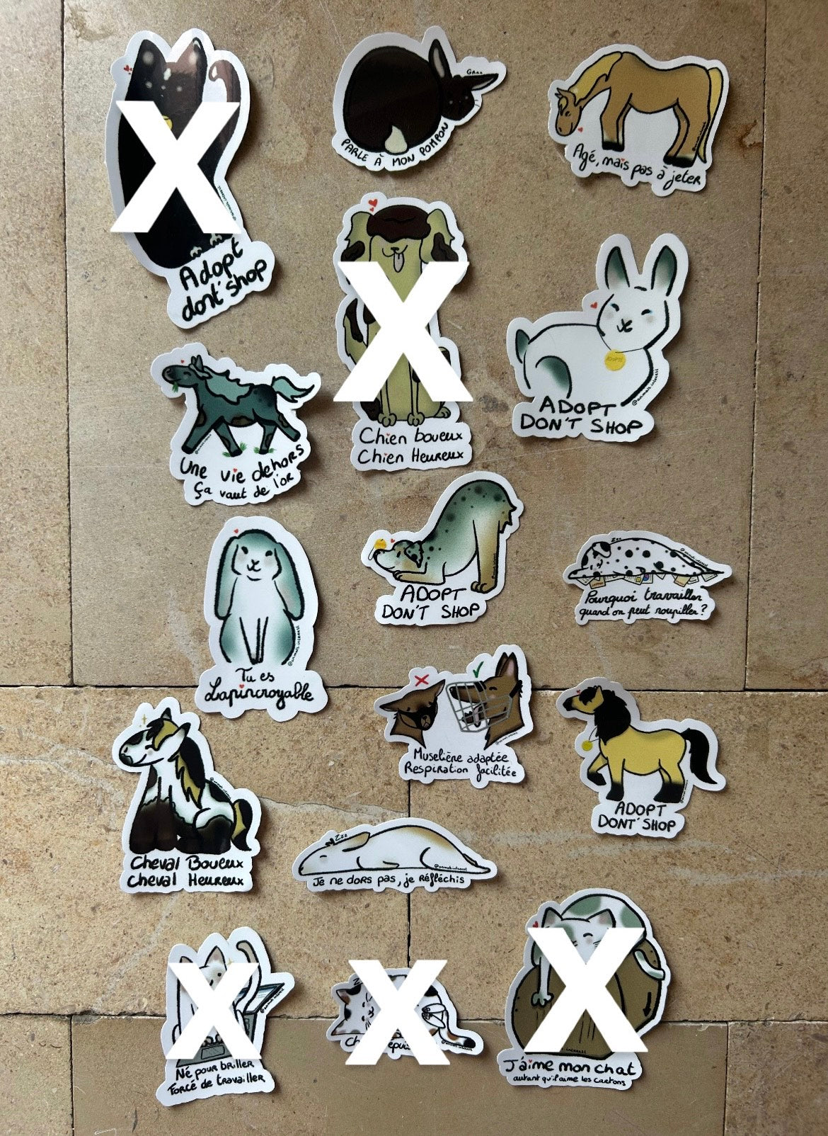 PACK TOUS LES ANIMAUX - Sticker pour les maxi BG comme toi