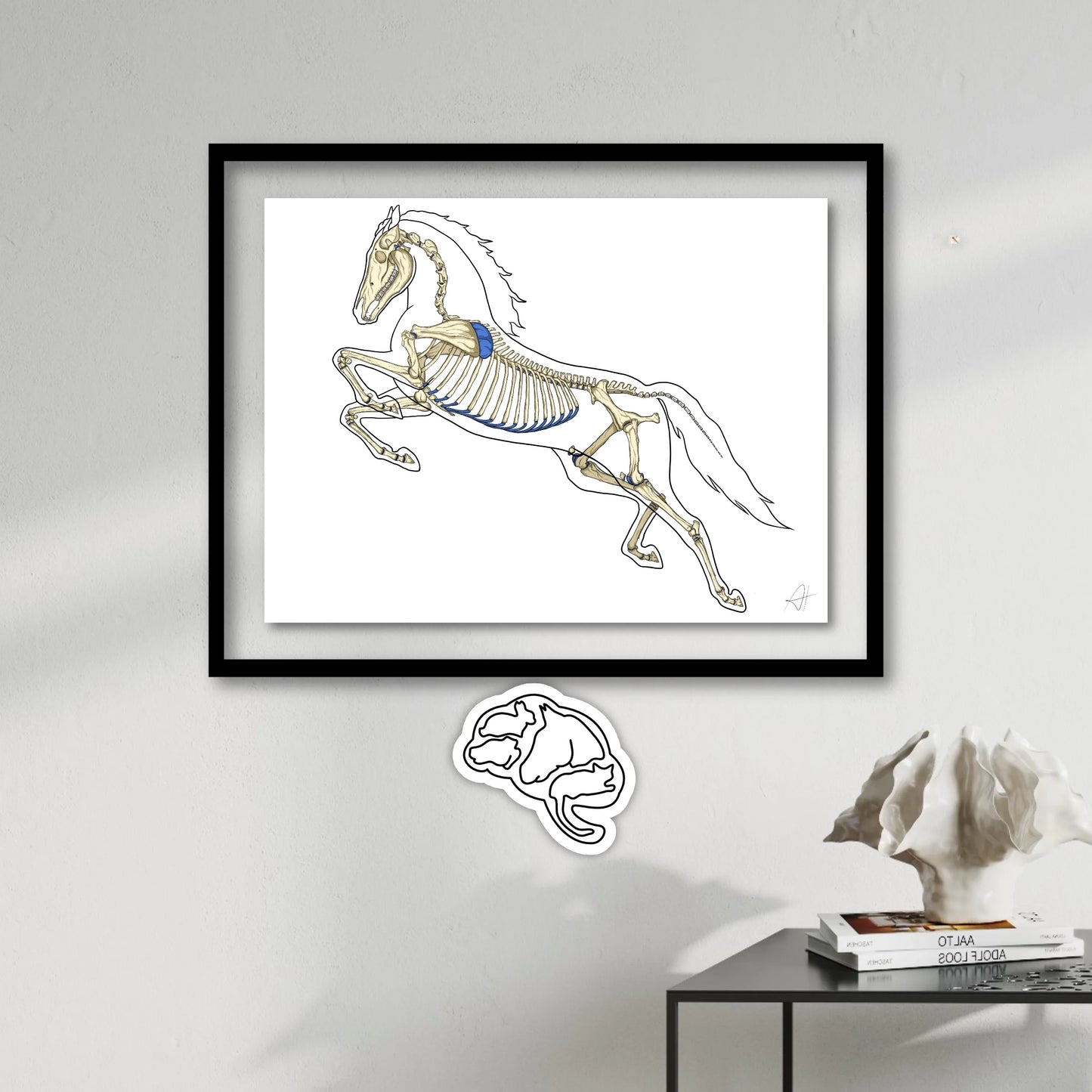 Planche anatomique Ostéologie du cheval