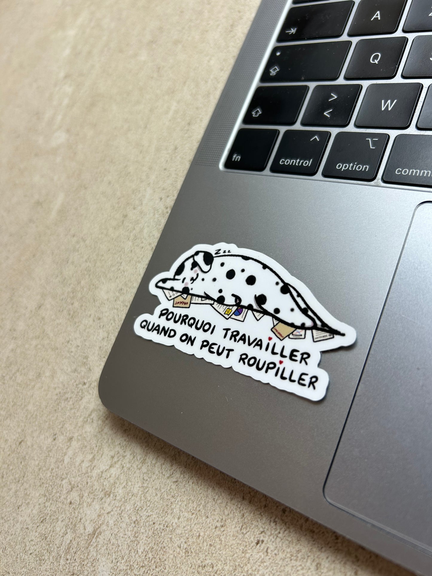 PACK CHIEN - Sticker Garanti sans bave