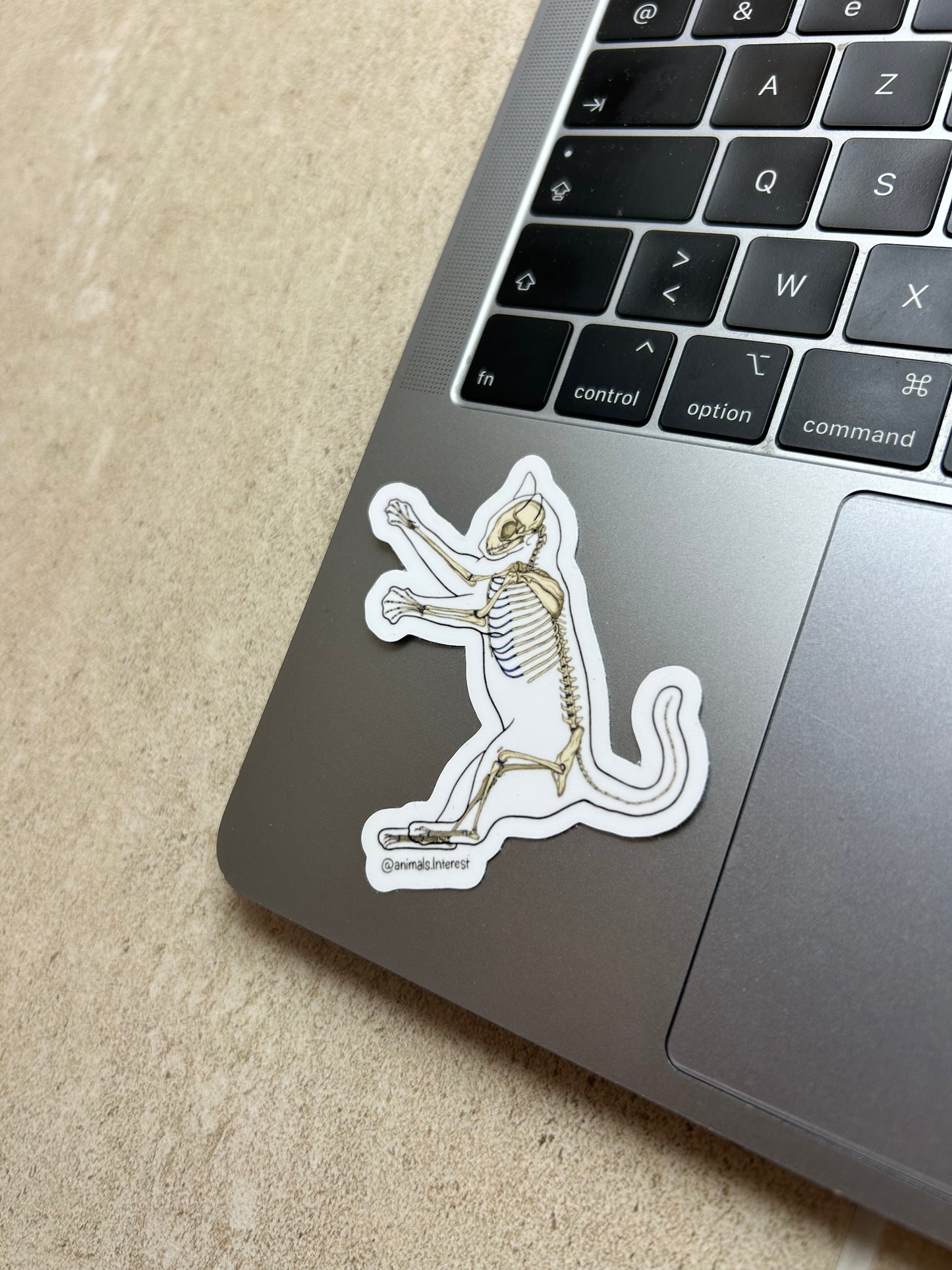 PACK OSTEOLOGIE - Sticker Garanti sans OCD