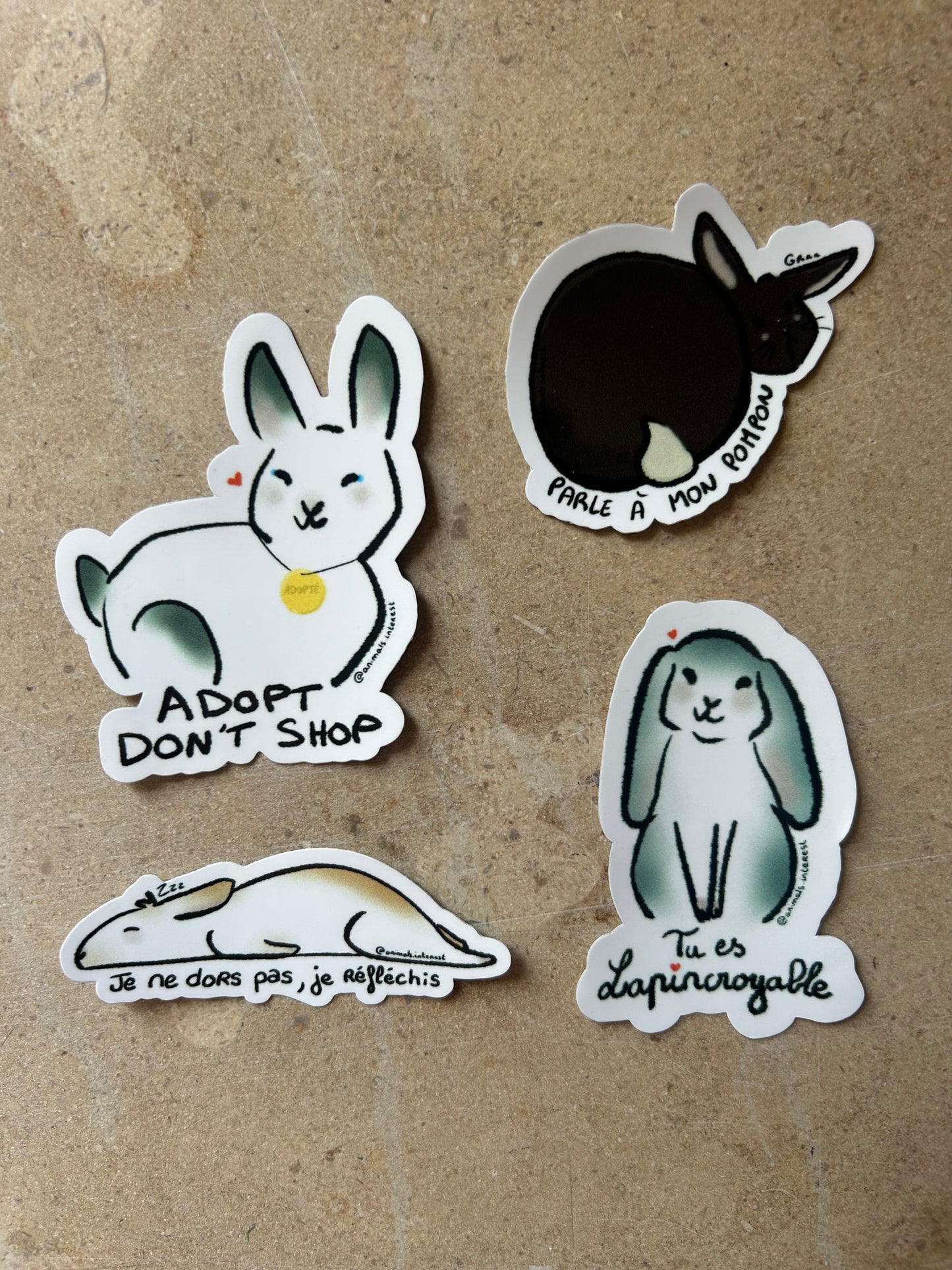 PACK LAPIN - Sticker Garanti sans fil électrique grignoté