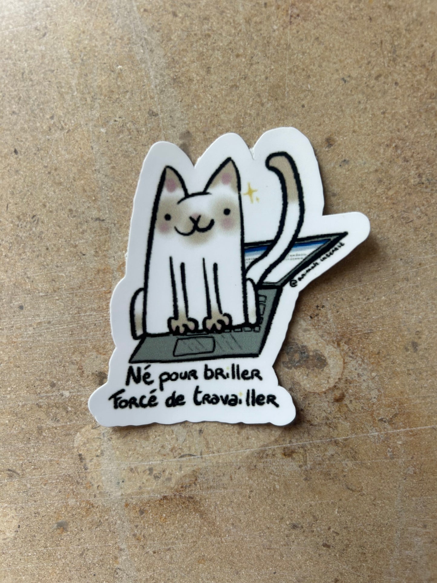 PACK TOUS LES ANIMAUX - Sticker pour les maxi BG comme toi