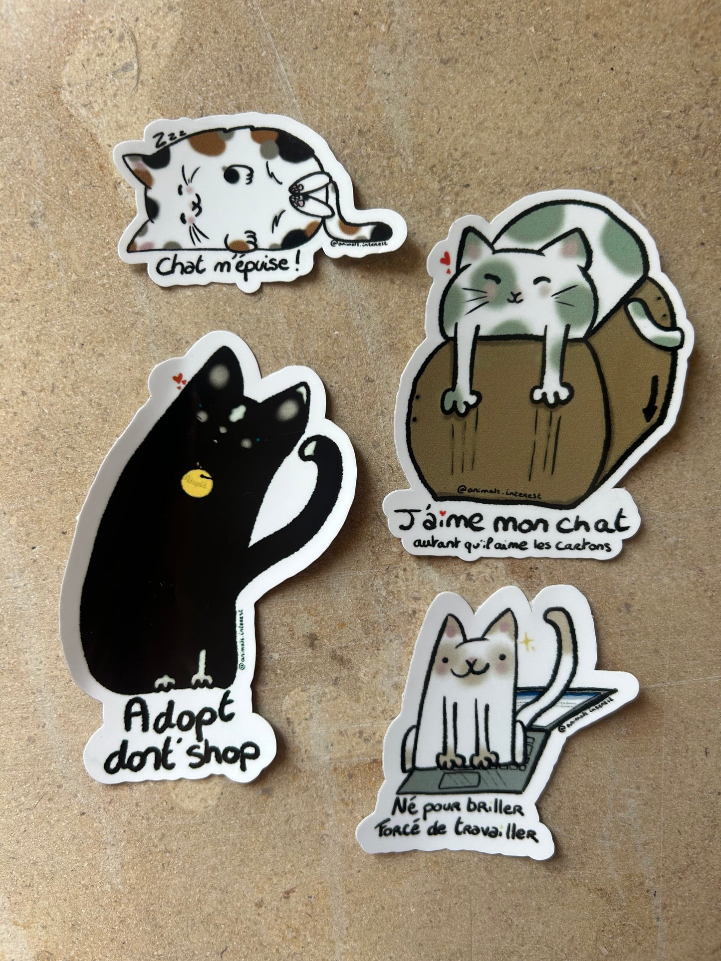 PACK VIP : LE LIVRE + TOUS LES STICKERS
