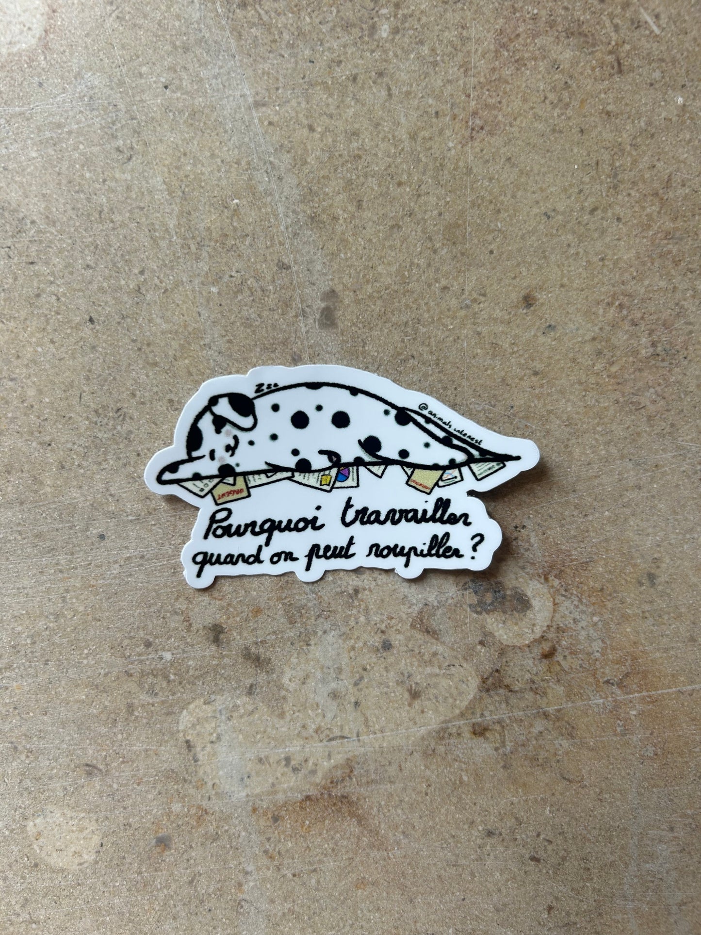 PACK TOUS LES ANIMAUX - Sticker pour les maxi BG comme toi
