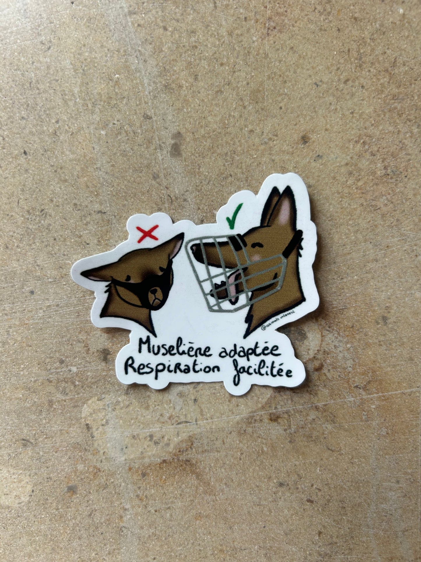 PACK TOUS LES ANIMAUX - Sticker pour les maxi BG comme toi