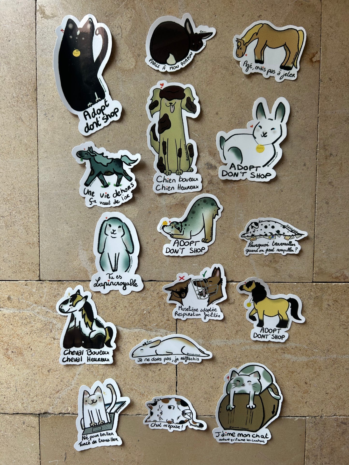 PACK VIP : LE LIVRE + TOUS LES STICKERS