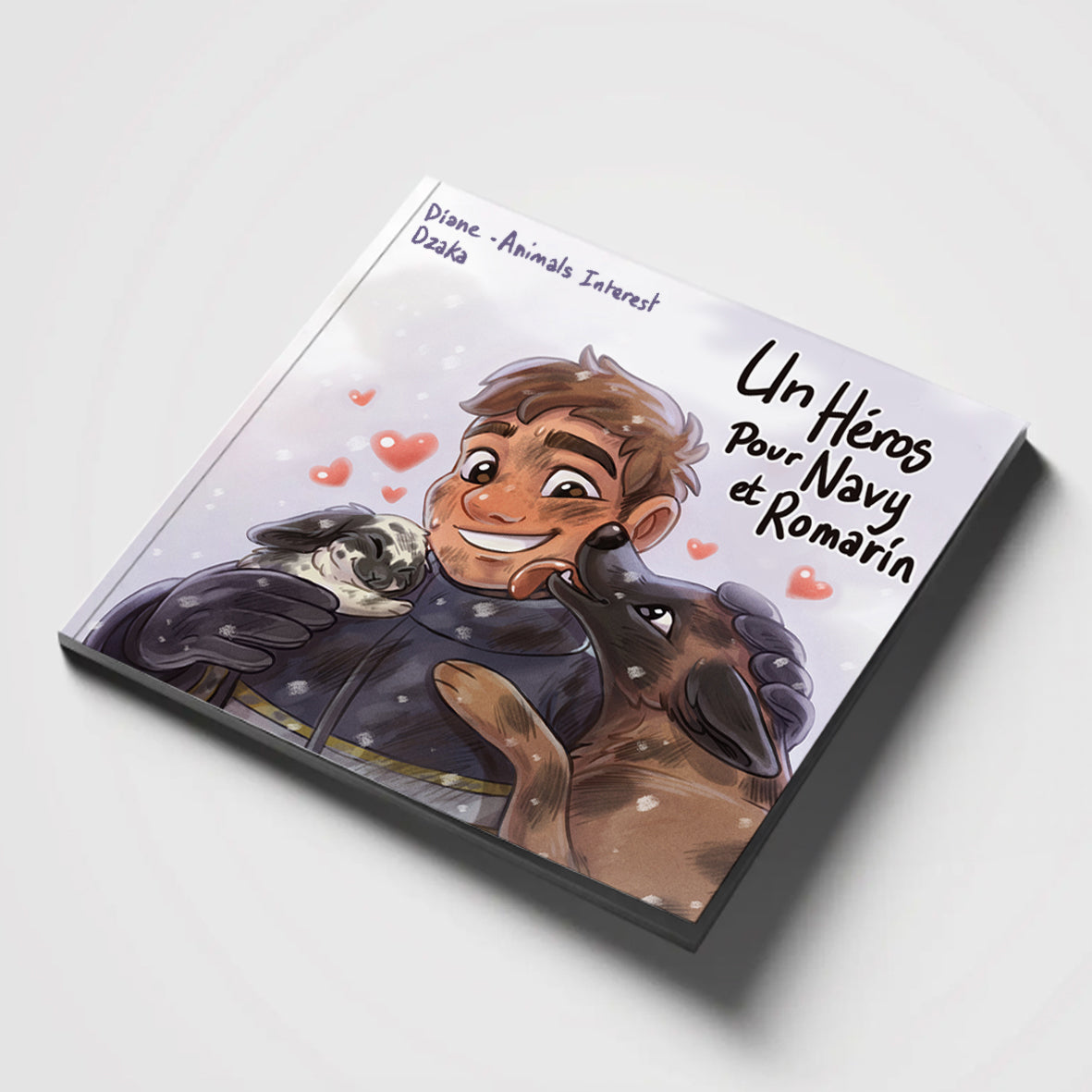 LIVRE : Un Héros pour Navy et Roro