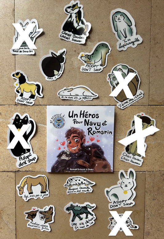PACK VIP : LE LIVRE + TOUS LES STICKERS