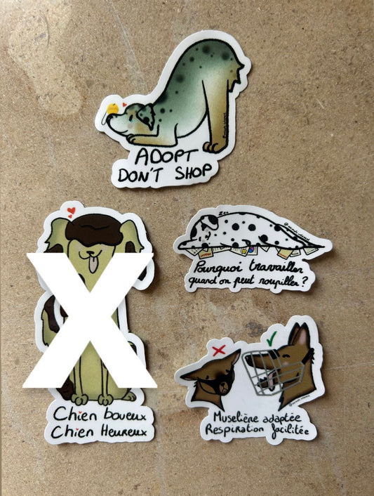 PACK CHIEN - Sticker Garanti sans bave