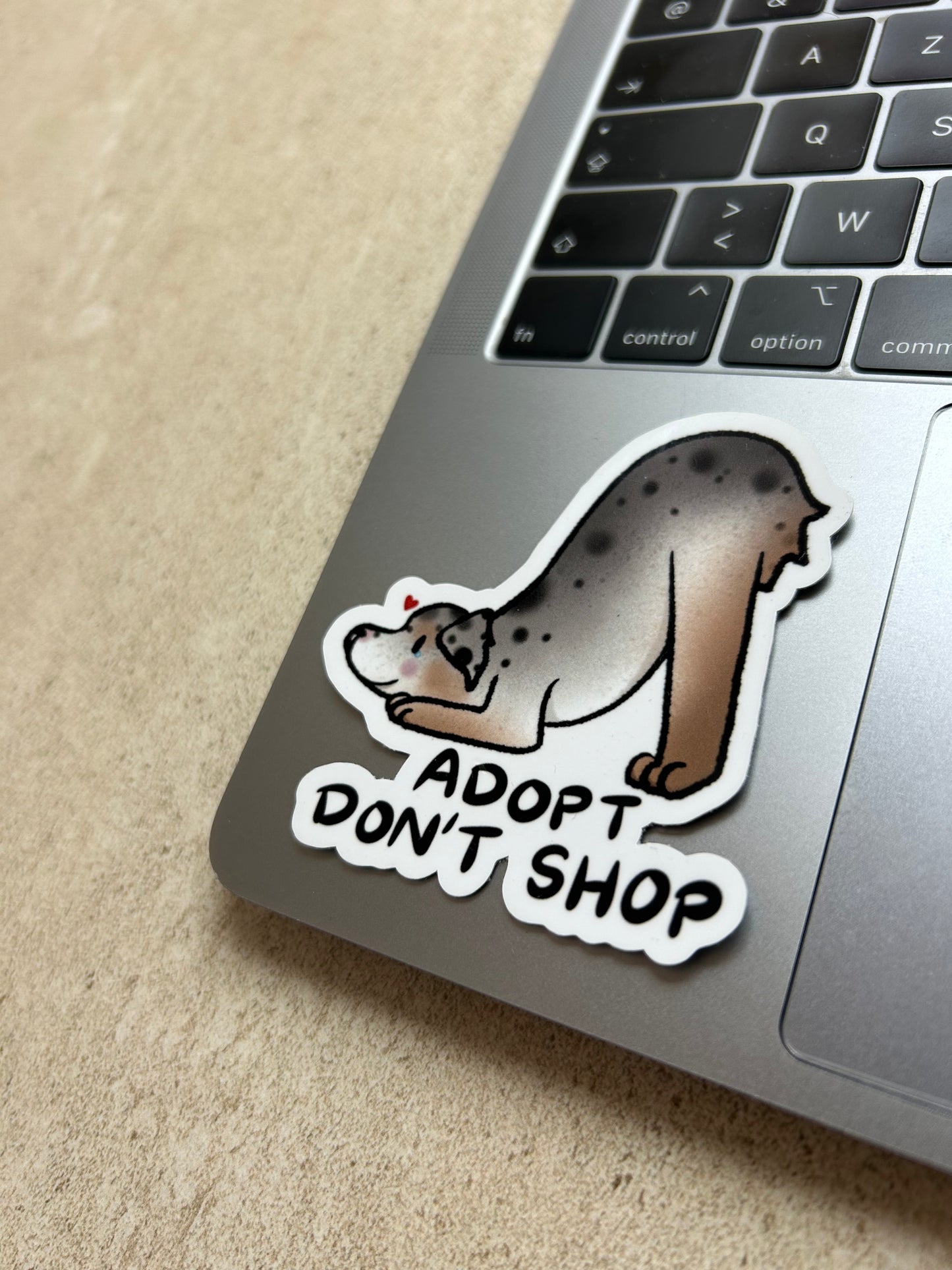 PACK CHIEN - Sticker Garanti sans bave