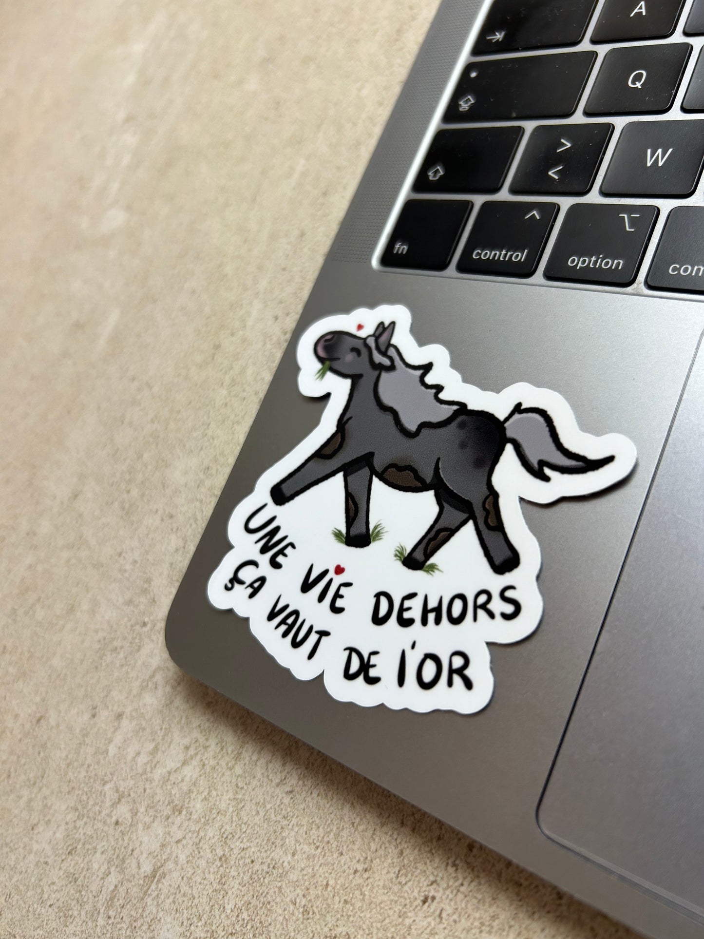 PACK CHEVAL - Sticker Garanti sans crottin