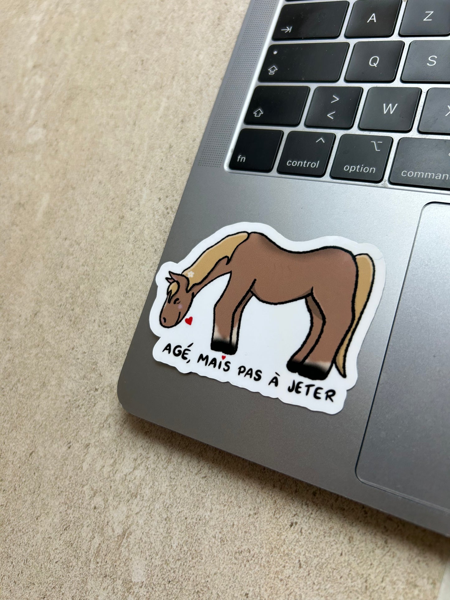 PACK CHEVAL - Sticker Garanti sans crottin