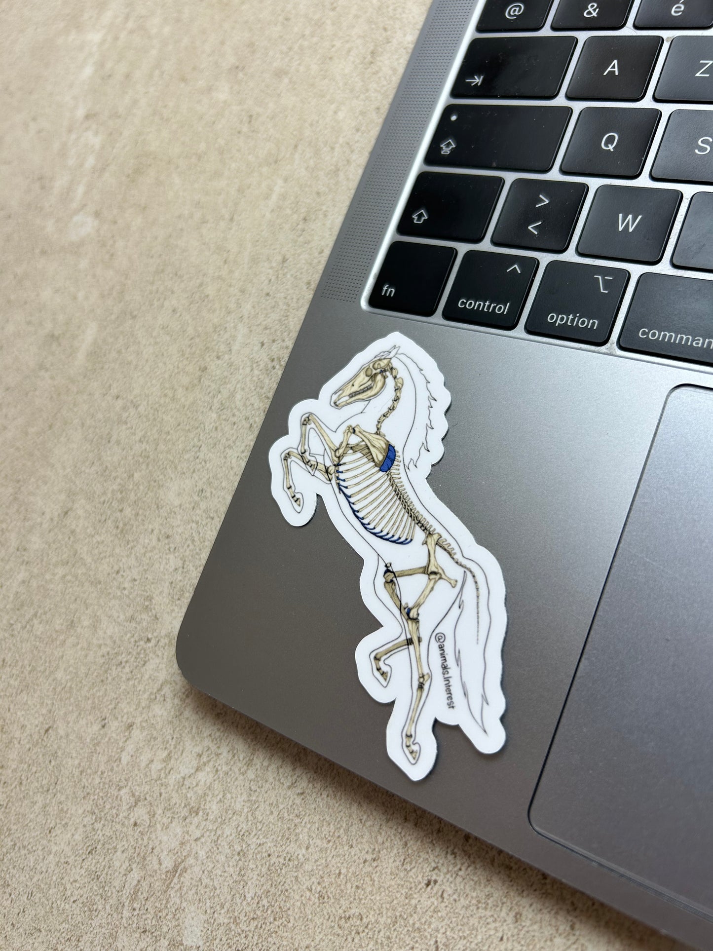 PACK OSTEOLOGIE - Sticker Garanti sans OCD