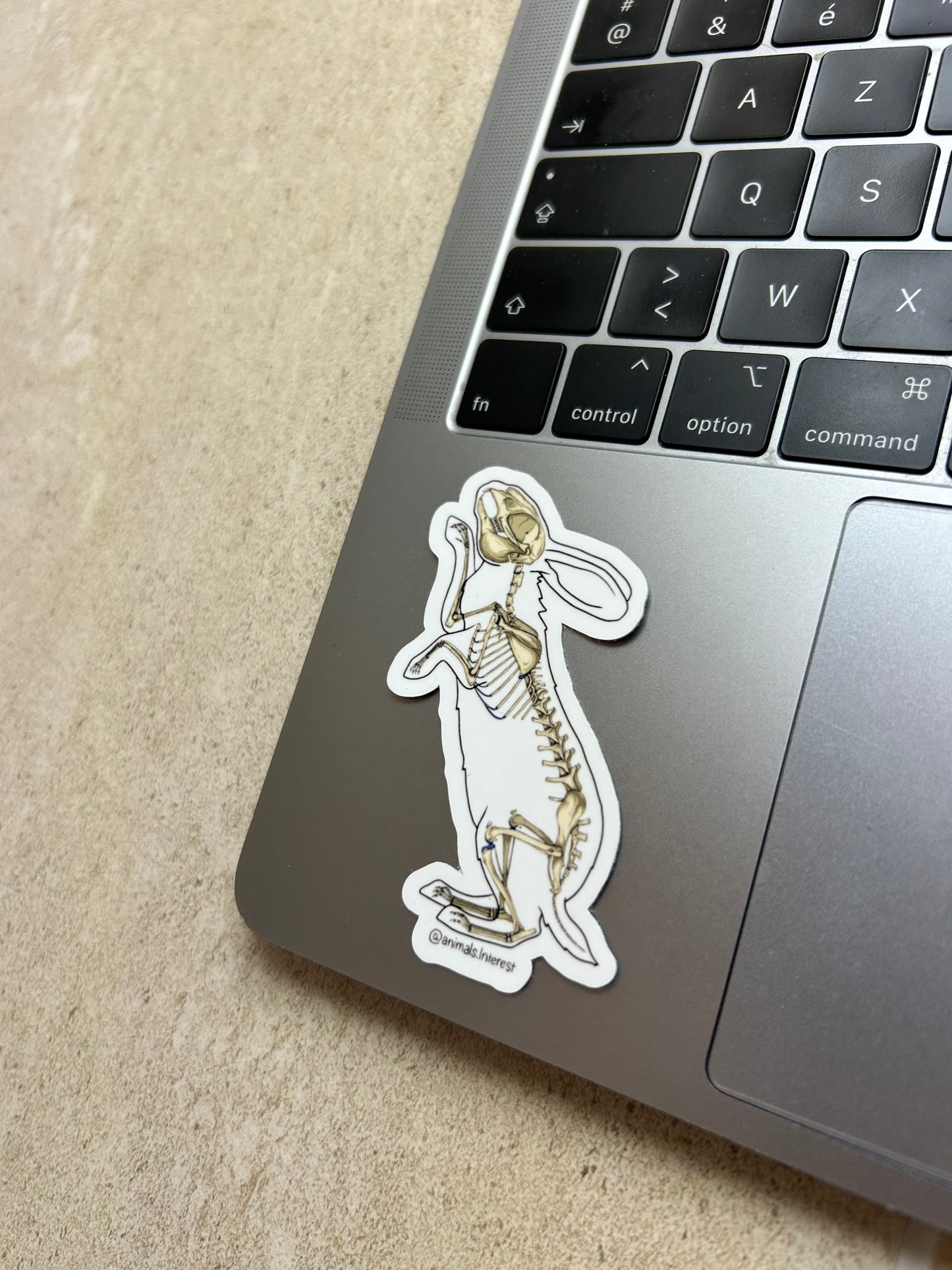 PACK OSTEOLOGIE - Sticker Garanti sans OCD