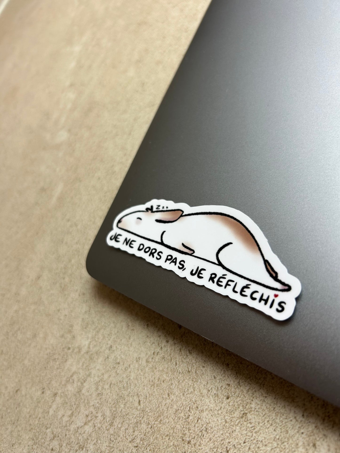 PACK LAPIN - Sticker Garanti sans fil électrique grignoté
