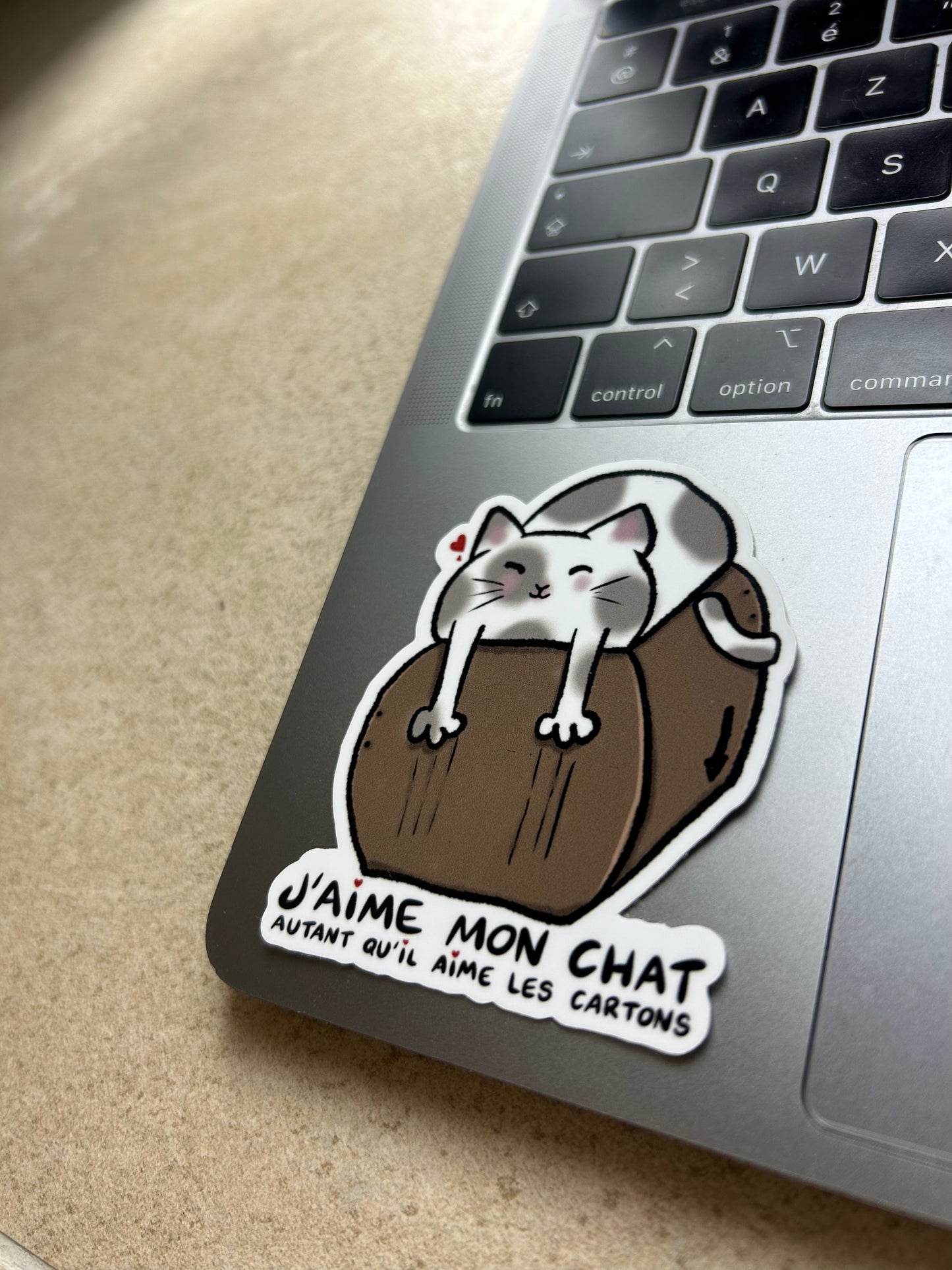 PACK CHAT - Sticker Garanti sans boule de poils