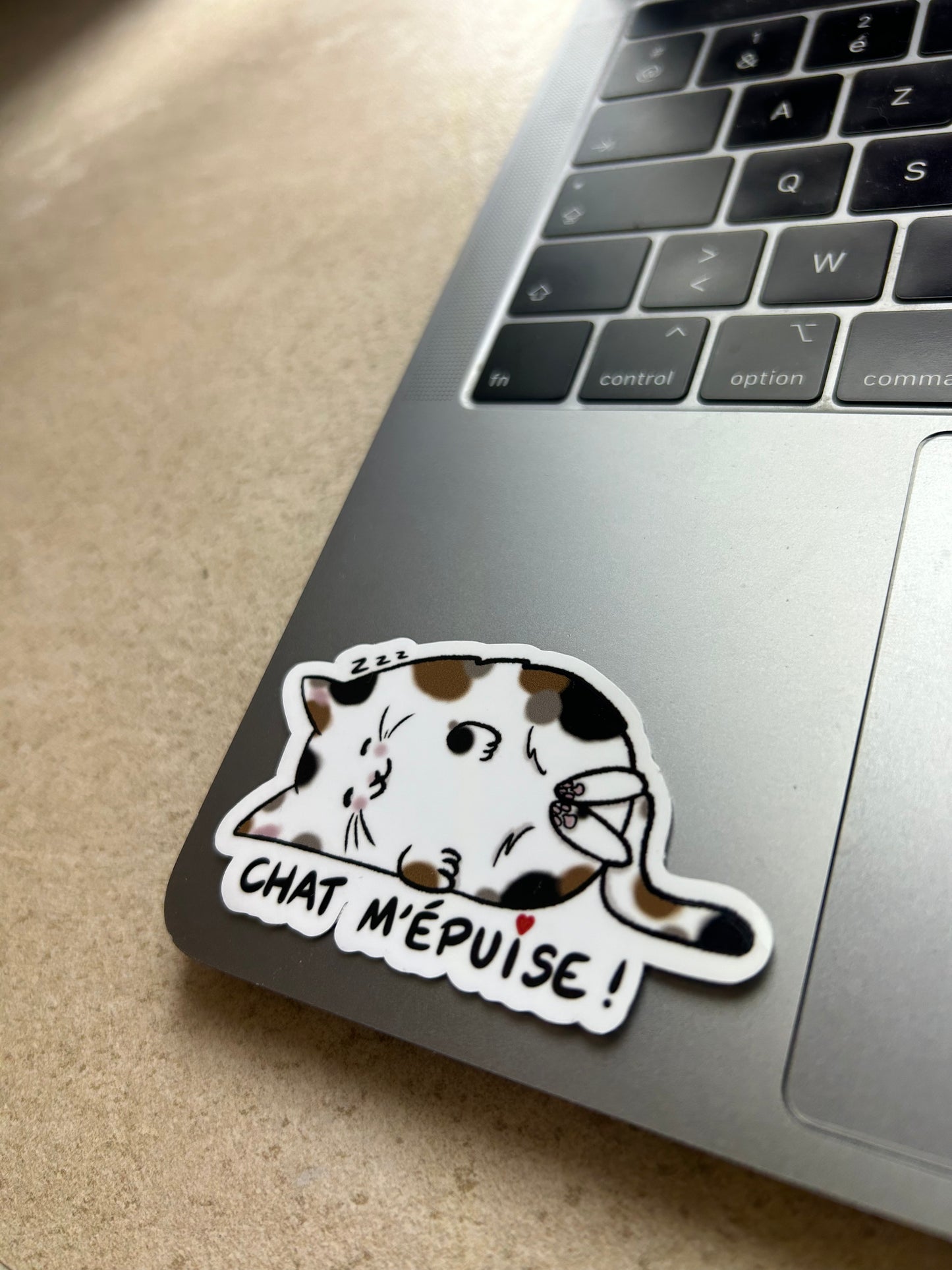 PACK CHAT - Sticker Garanti sans boule de poils