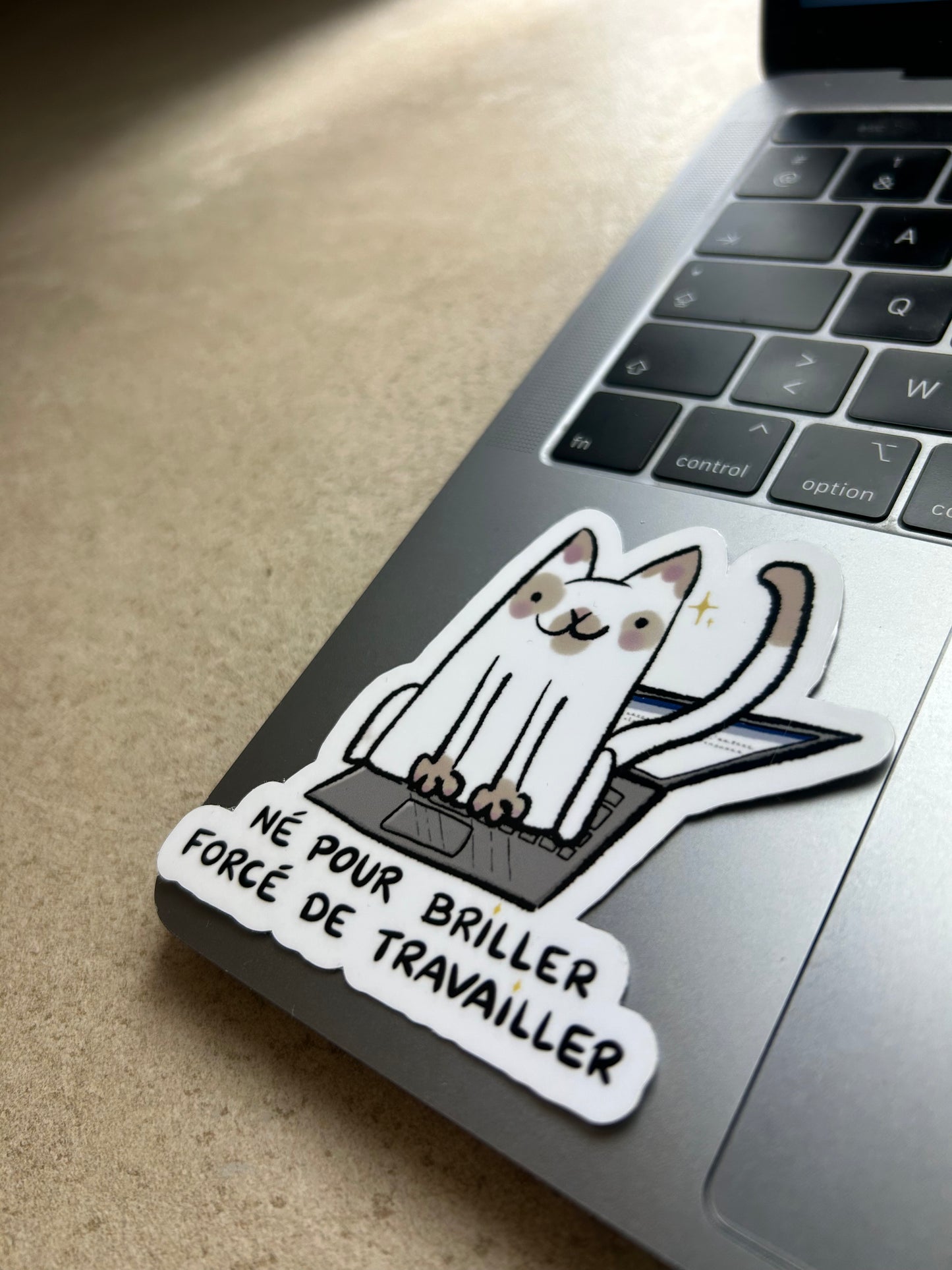 PACK CHAT - Sticker Garanti sans boule de poils