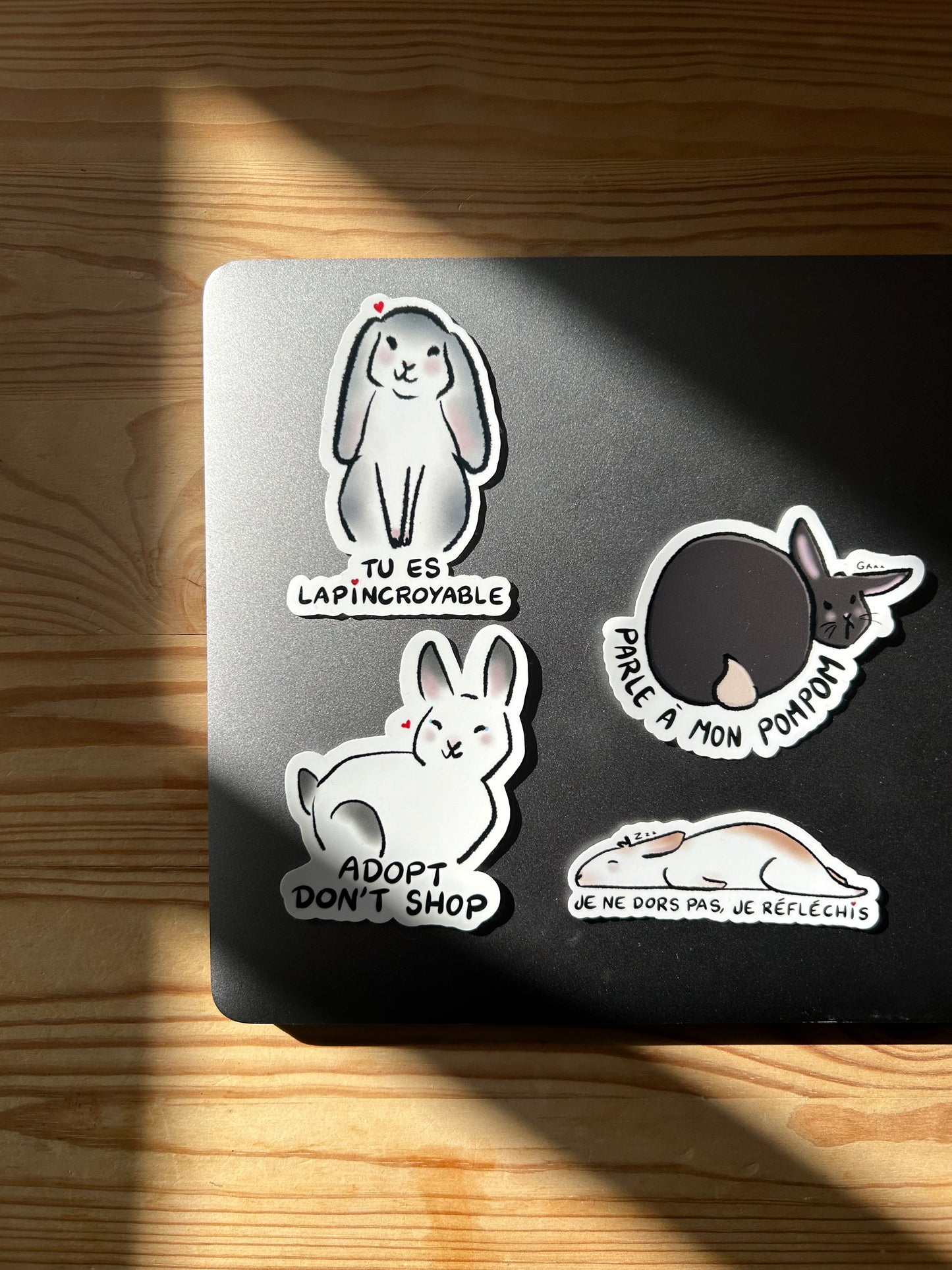 PACK VIP -21% : LE LIVRE + TOUS LES STICKERS