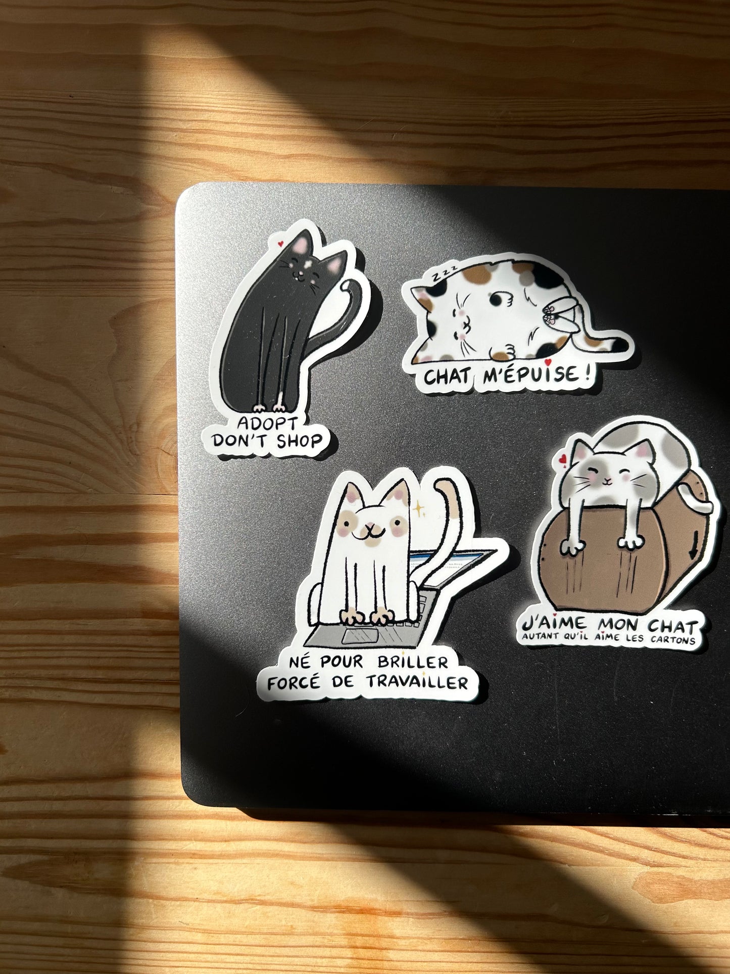 PACK CHAT - Sticker Garanti sans boule de poils