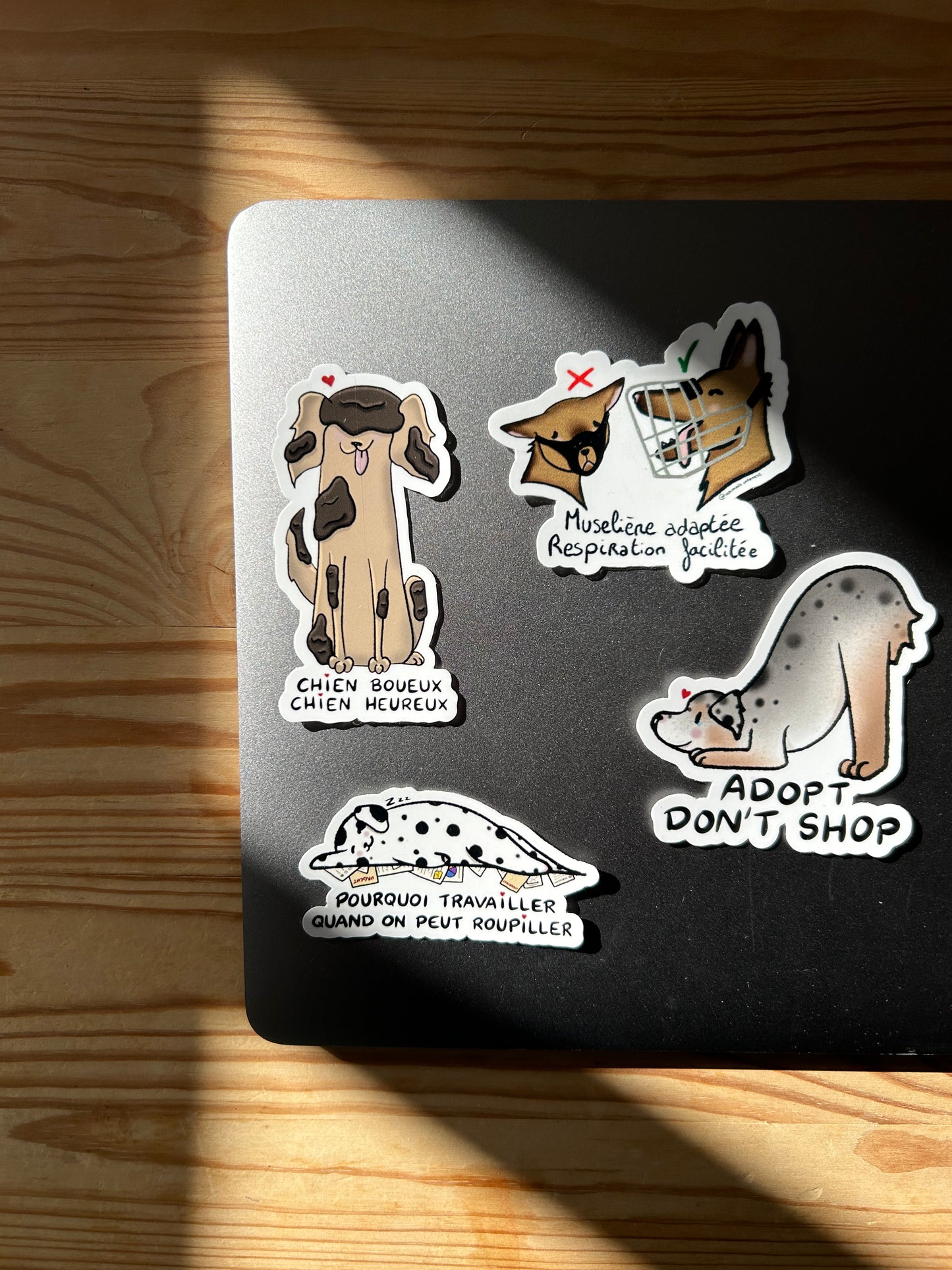 PACK CHIEN - Sticker Garanti sans bave