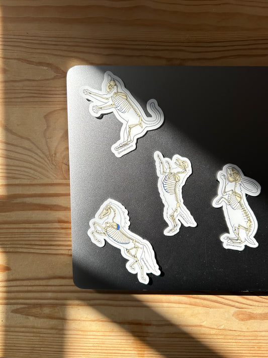 PACK OSTEOLOGIE - Sticker Garanti sans OCD