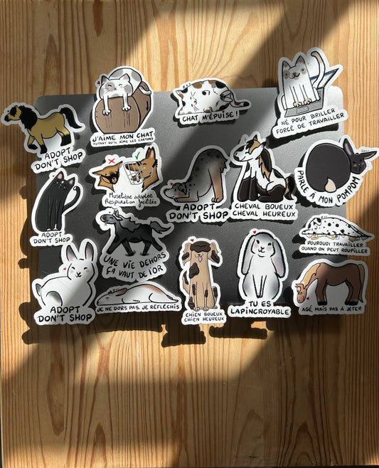 PACK TOUS LES ANIMAUX -30% - Sticker pour les maxi BG comme toi
