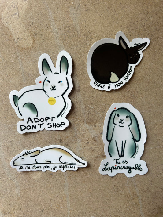 PACK LAPIN - Sticker Garanti sans fil électrique grignoté