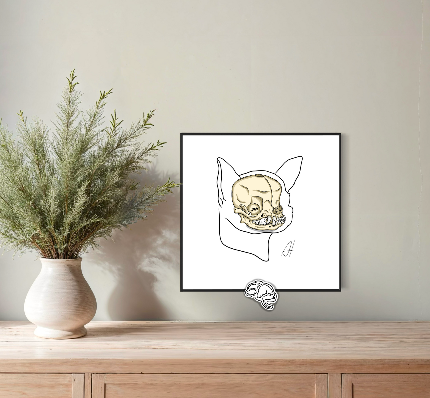 Planche anatomique Ostéologie crânienne Chihuahua