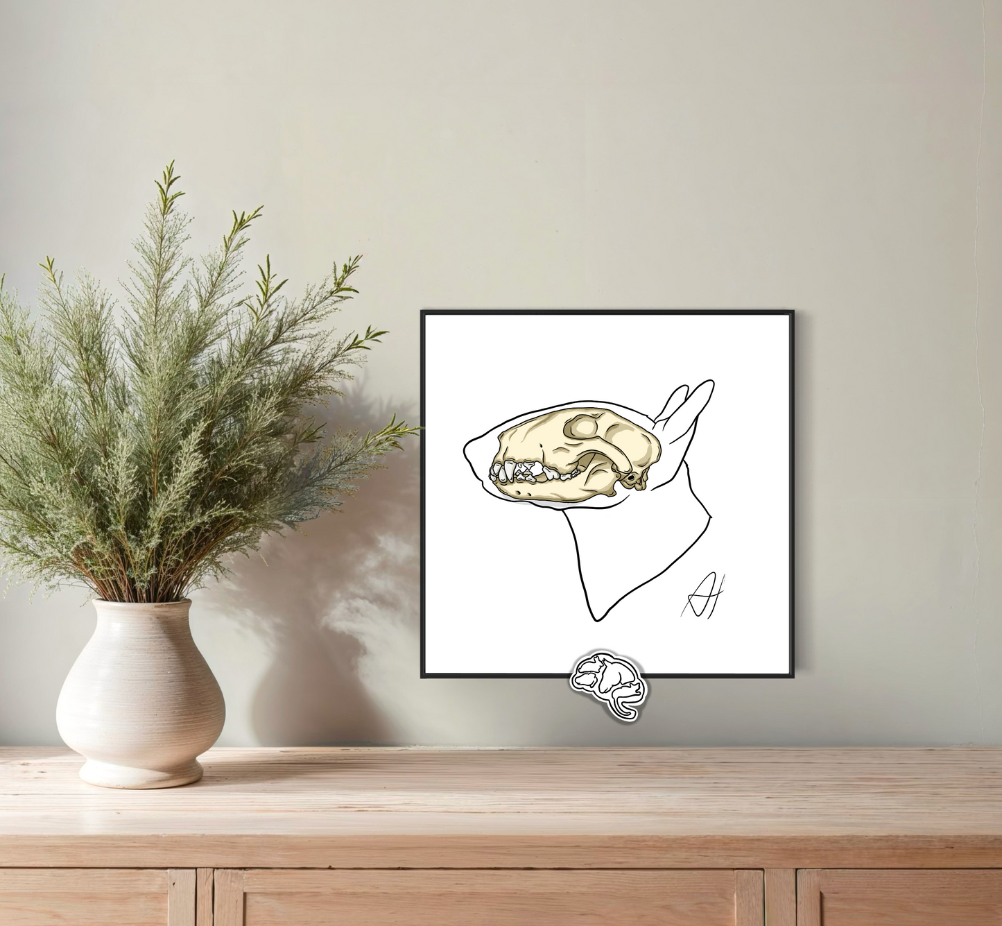 Planche anatomique Ostéologie crânienne Bull Terrier