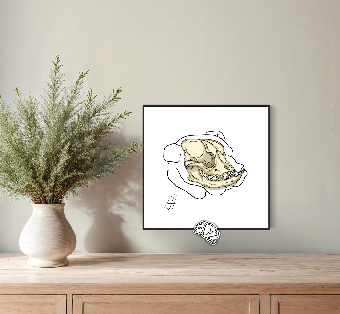 Planche anatomique Ostéologie crânienne Bulldog Anglais